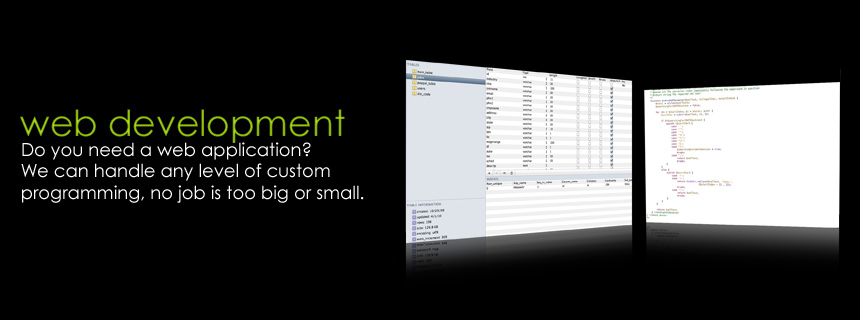 web development